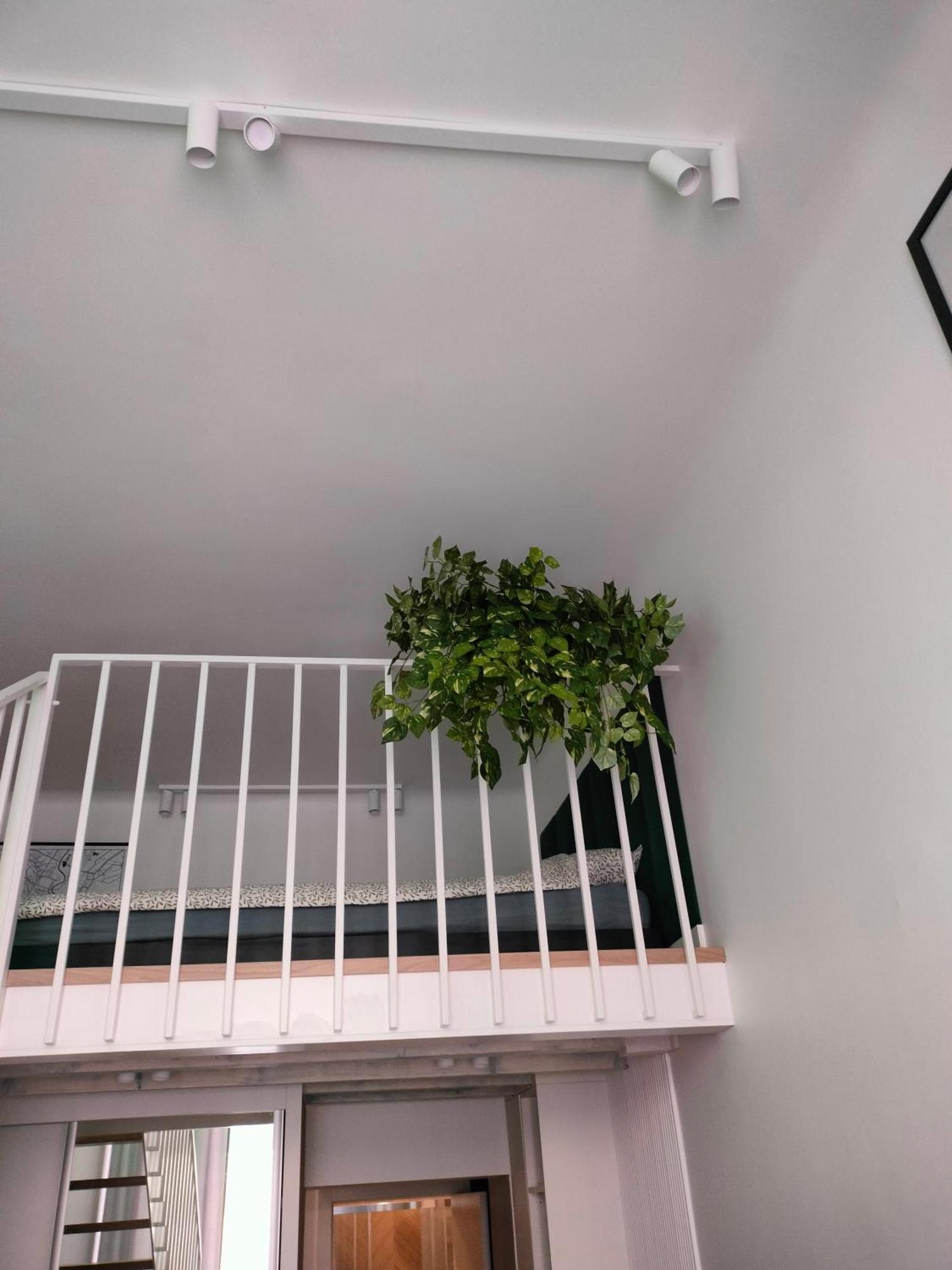 Apartament Paradise Zarzadzany Przez Gospodarza Osobe Fizyczna Self Check In Rzeszów Exterior foto